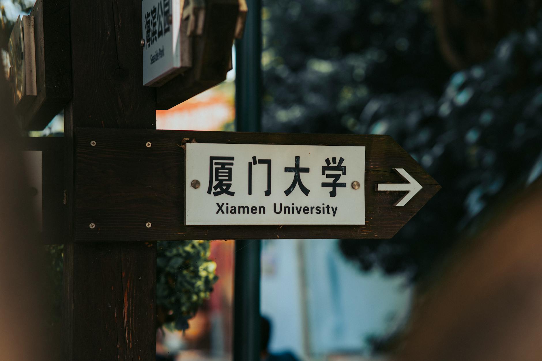 新西兰留学,生活费,2026,住宿费,饮食开销,交通费,留学生预算